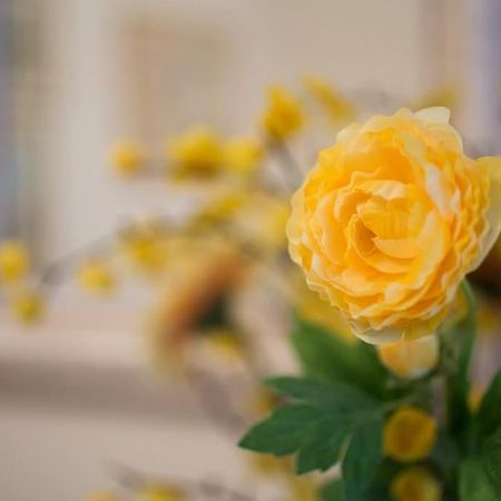 Top-Rated 1-Bedroom Apartment In The Heart Of Athen Eksteriør billede