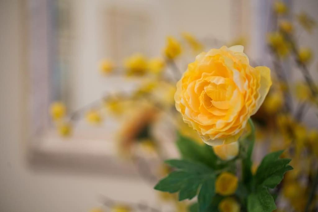 Top-Rated 1-Bedroom Apartment In The Heart Of Athen Eksteriør billede